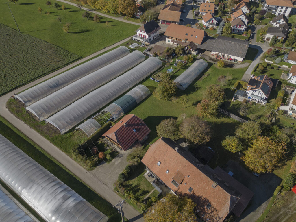 Bauland in Ried bei Kerzers FR | IMMOSEEKER.CH