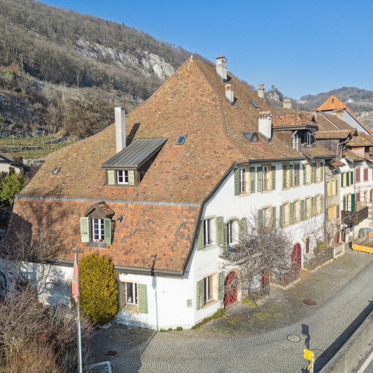 Mehrfamilienhaus in Twann BE┃IMMOSEEKER:CH