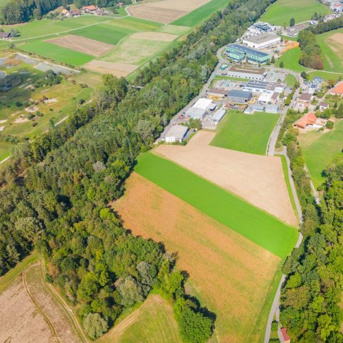 Bauland in Bösingen FR | IMMOSEEKER.CH