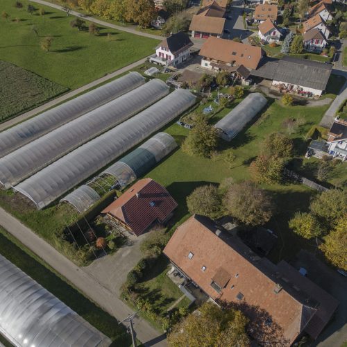Bauland in Ried bei Kerzers FR | IMMOSEEKER.CH